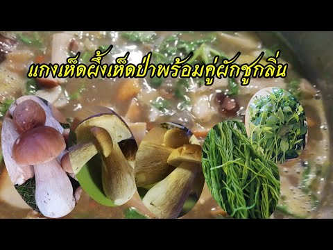 แกงเห็ดป่ากับสองคู่ชูกลิ่น.แกง แกงเห็ดป่ากับสองคู่ชูกลิ่น.แกง