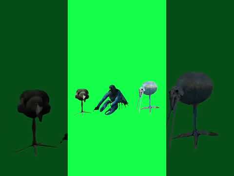 25 октября 2025 г.