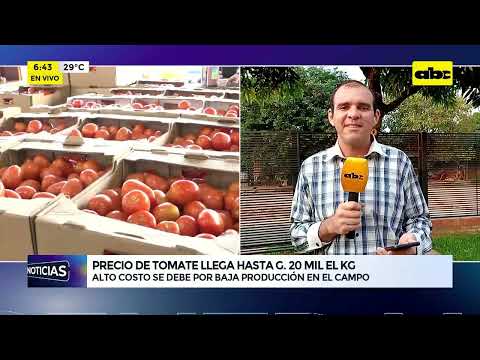 El precio del tomate llega hasta G. 20 mil el kg