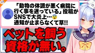【命を飼う覚悟】動物を慮れないならペットを飼うな!!真剣に伝える犬山たまき【#魁たまき塾】
