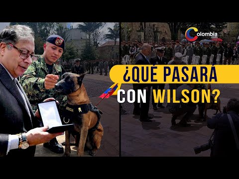 Presidente Petro condecoró a madre del canino de búsqueda y rescate, Wilson