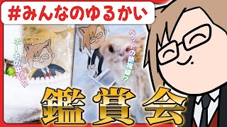 【 #みんなのゆるかい 】みんなの日常に紛れるゆるかいグッズを見ようじゃないか！【 犬養 / 個人勢Vtuber 】
