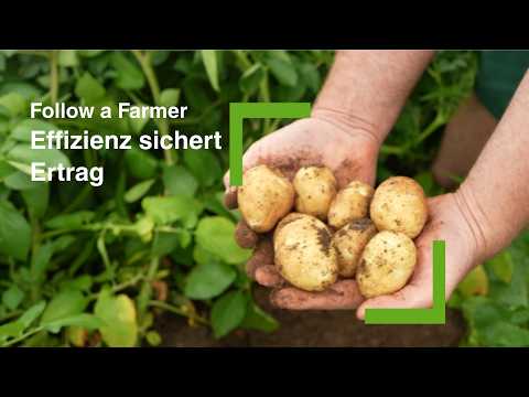 Folge 3: Kartoffeln - Effizienz sichert Ertrag - Follow a Farmer, Lutz Wercham