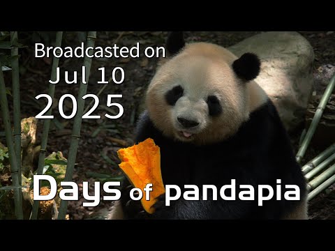 20250710 Broadcast Top Highlights 07
