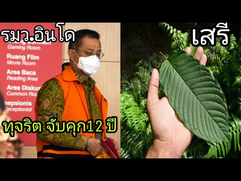 รมว.อินโด-ทุจริต-ศาลสั่งจับคุก รมว.อินโด-ทุจริต-ศาลสั่งจับคุก
