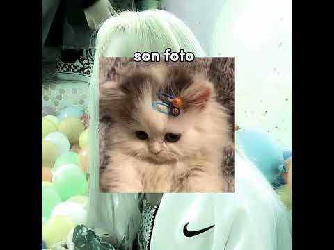 -selendir #chaeyoung #twice #once #keşfet