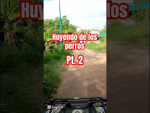 Huyendo de los perros Pt.2 #atv #atv180 #offroad