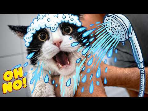 You Don't Have A Single Chance!!