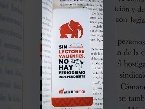 El mismo periodismo que conoces, más claro y ágil. Así se ve hoy Animal Político. 🧑‍💻 #GrupoAnimal