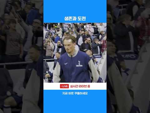 잔류해야 하는 토트넘과 유럽대항전에 도전하는 브라이튼 | 프리미어리그 | 토트넘 vs 브라이튼