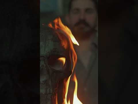 птахи не сплять - з нас вже досить