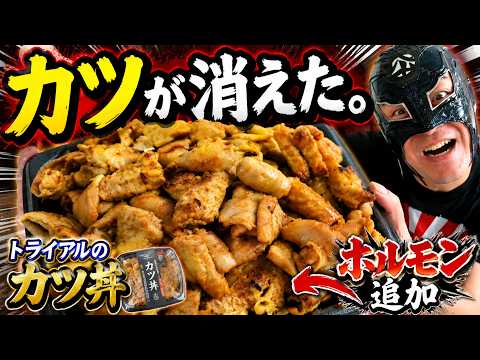 トライアルのカツ丼、カツが見えなくなるまで肉を乘せてみた