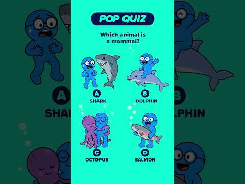 POP QUIZ: #Learning #Science