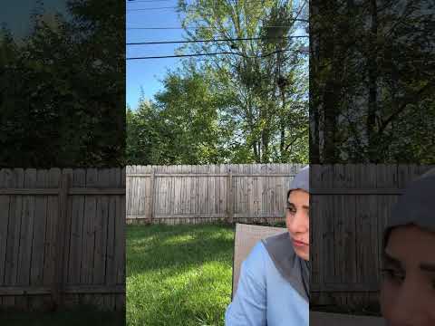 لحظة مميزة من البث المباشر