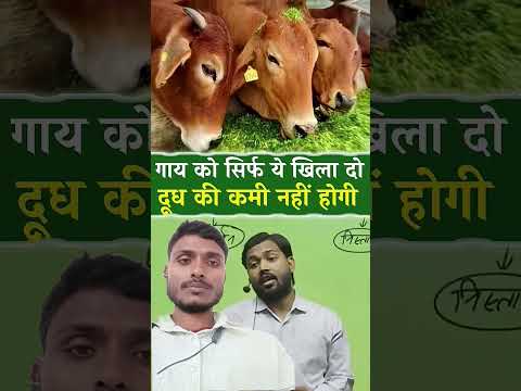 #facts #food #khansir #khangs #khansirpatna #india #cow #education #khansirlogic #armymotivation #yt