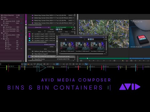 Avid Media Composer — Bins and Bin Containers