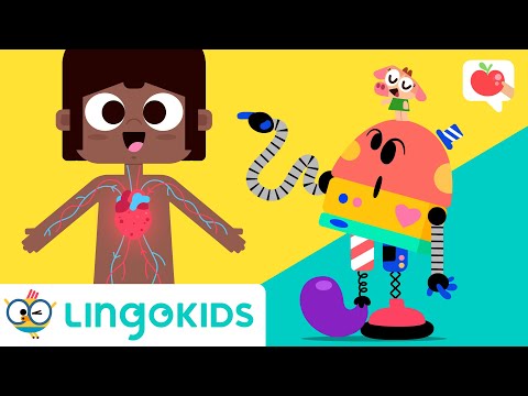 FACE and BODY PARTS FOR KIDS 👁️👄👁️ VOCABULARY, SONGS and GAMES | Lingokids