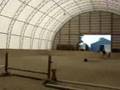 HorseLuvr478