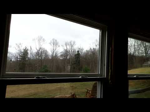 5000 U.S. Marines to the middle east.