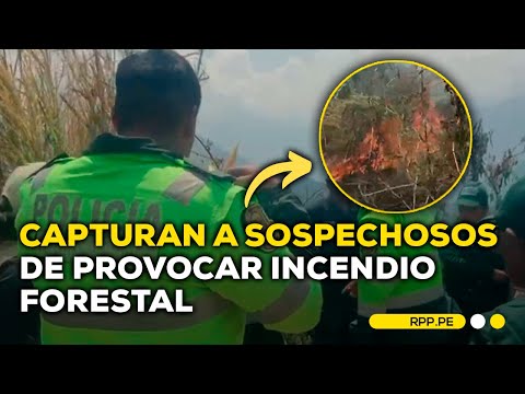 Huánuco: capturan a dos sospechosos de iniciar incendio forestal #ROTATIVARPP | DESPACHO