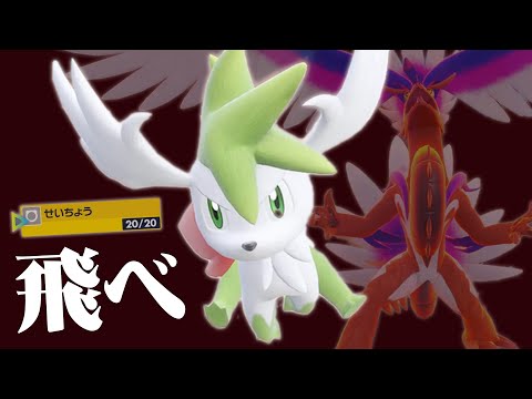 【せいちょう型】シェイミよ、コライドンと共に飛べ！！【ポケモンSV】