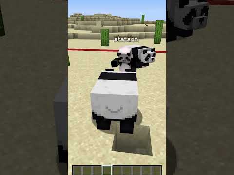 gram w chowanego z kolegą oszustem..