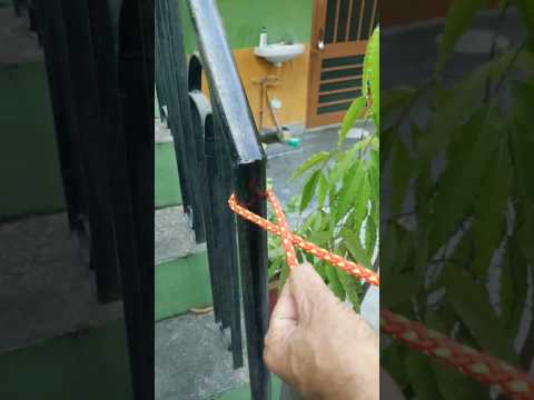 Knot #diy