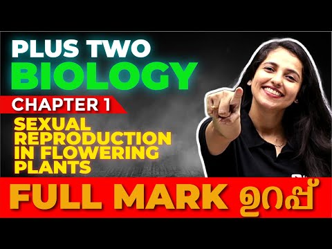 Plus Two Christmas Exam Biology | Sexual Reproduction in Flowering Plants | Full Chapter|Exam Winner