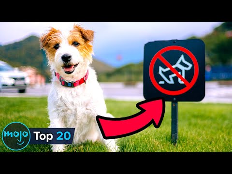 20 Illegal Things You've Done (at Least Once)