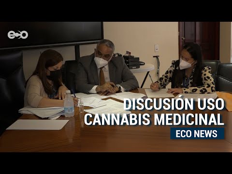 Comisión de la Salud evalúa la legalización del uso medicinal del cannabis | Eco News