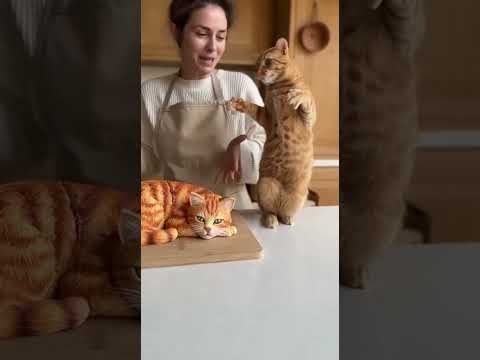 She cuts a cut cake and the real cat freaks out #cat