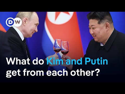 What we know about the mutual defense pledge between Russia and North Korea | DW News