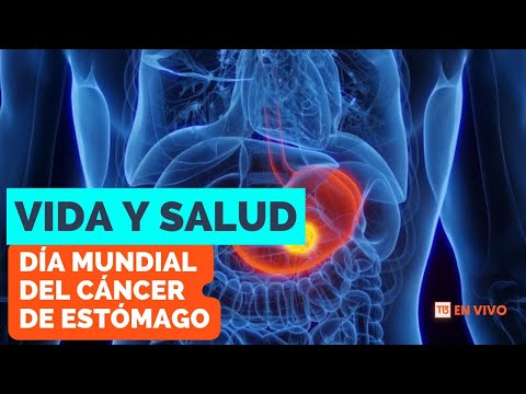 Vida y Salud: Día Mundial del Cáncer de Estómago