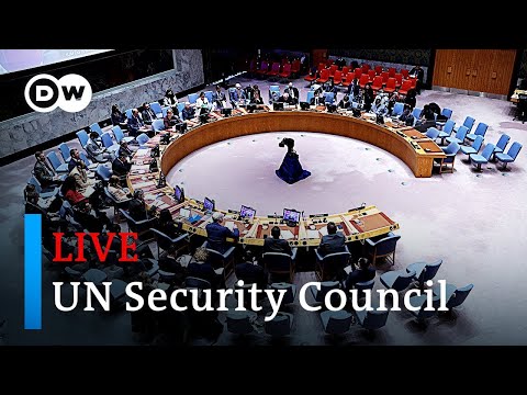 Live: Zelenskyy to attend UN Security Council meeting on Ukraine | DW News