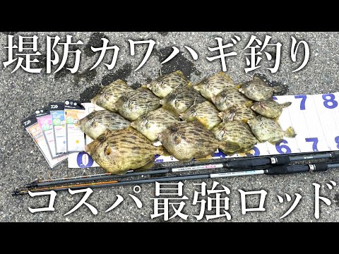 【大型のカワハギが簡単に釣れる!】悶絶アタリが楽に取れる3500円の堤防カワハギロッドと釣り方を紹介