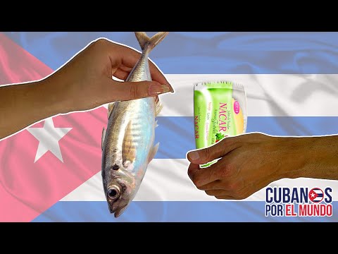 ¡VIVIENDO EN LA COMUNIDAD PRIMITIVA! Los cubanos acuden a trueque para poder subsistir