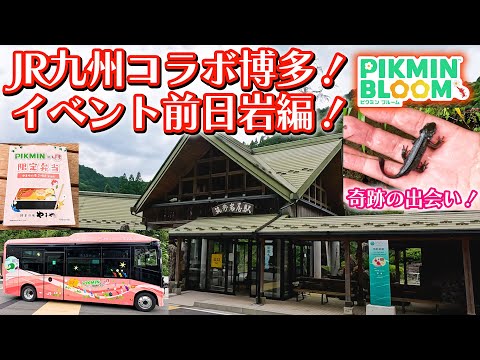 【ピクミンブルーム】JR九州コラボ博多！イベント前日岩編！【Pikmin Bloom】