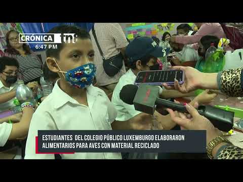 Estudiantes de Managua elaboran alimentario para aves con material reciclado - Nicaragua
