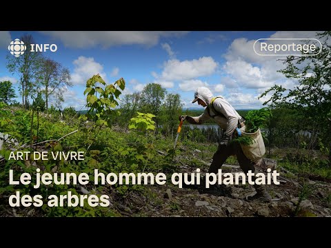 Antoine Moses, plus d’un million d’arbres plantés et un record Guinness plus tard