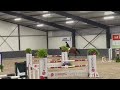 Show jumping horse Super fijne talentvolle merrie, uit interessante merrielijn