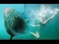 Tiburón 3D - La presa - Castellano