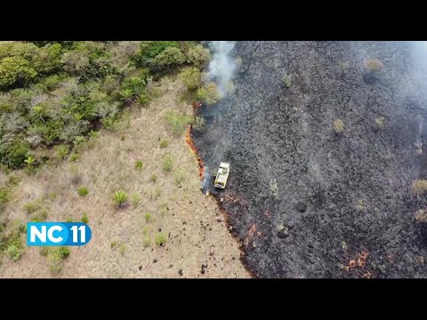 Bomberos atienden incendios de Guanacaste