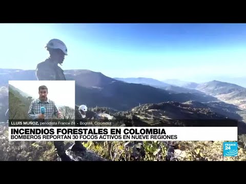 Informe desde Bogotá: Cerros Orientales arden bajo los incendios forestales en Colombia