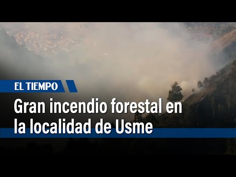 Gran incendio forestal en el parque ecológico 'Entre Nubes' en la localidad de Usme  | El Tiempo