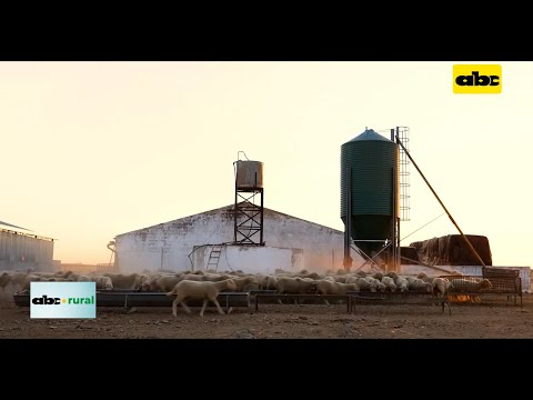 Documental “ganado o desierto” a favor de la producción