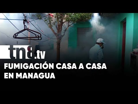 Familias de Altagracia, Managua, mejor protegidas contra zancudos - Nicaragua
