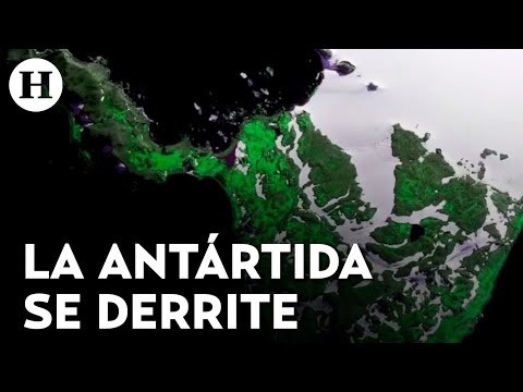 La Antártida está cambiando de color por el deshielo ¿Por qué preocupa a los científicos?