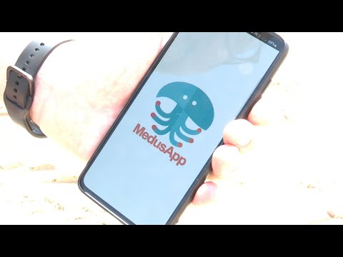 La UPV actualiza la aplicación MedusApp con IA para automatizar el reconocimiento de medusas