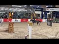 Show jumping horse Fijne talentvolle 5jr ruin