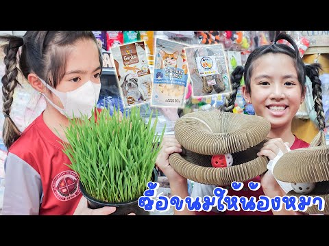 YimYamFamily|ซื้อขนมให้น้องห